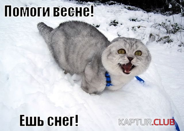 vesna_06.jpg | Рено Каптур Клуб Россия | Форум KAPTUR.SU