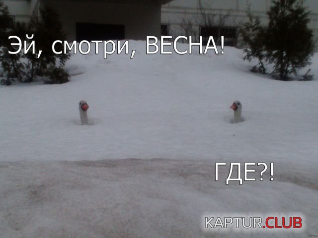 vesna_15.jpg | Рено Каптур Клуб Россия | Форум KAPTUR.SU
