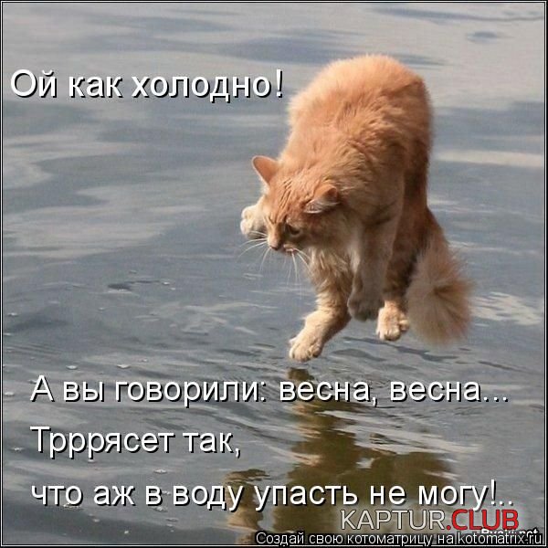 vesna_20.jpg | Рено Каптур Клуб Россия | Форум KAPTUR.SU