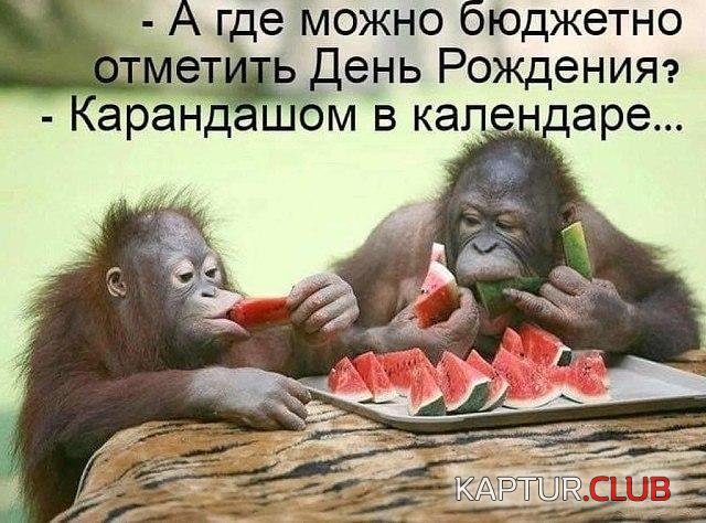 vmrfCCFEL54.jpg | Рено Каптур Клуб Россия | Форум KAPTUR.SU