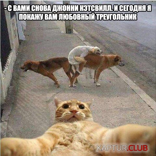 vvgobpkn8mg.jpg | Рено Каптур Клуб Россия | Форум KAPTUR.SU
