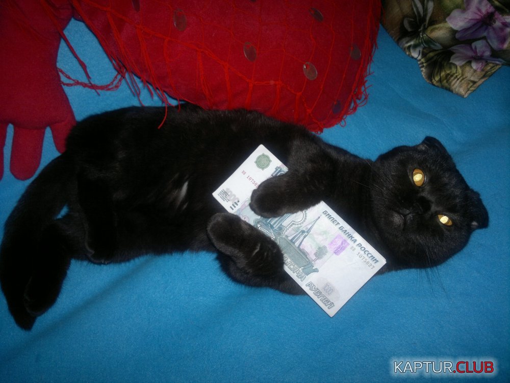w_288160cb.jpg | Рено Каптур Клуб Россия | Форум KAPTUR.SU