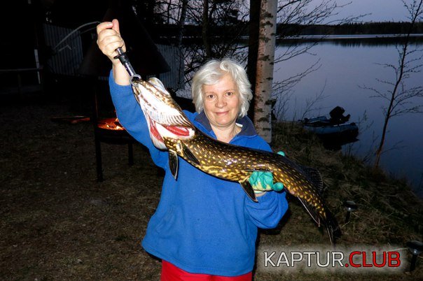 WC8sPx2kQKY.jpg | Рено Каптур Клуб Россия | Форум KAPTUR.SU