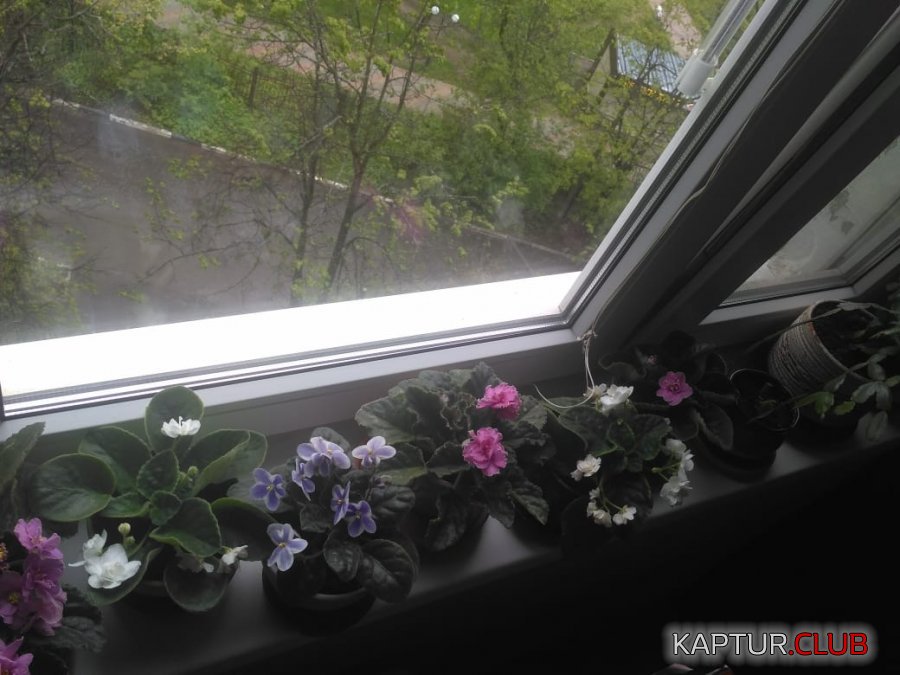 WhatsApp Image 2020-06-24 at 00.46.17.jpeg | Рено Каптур Клуб Россия | Форум KAPTUR.SU
