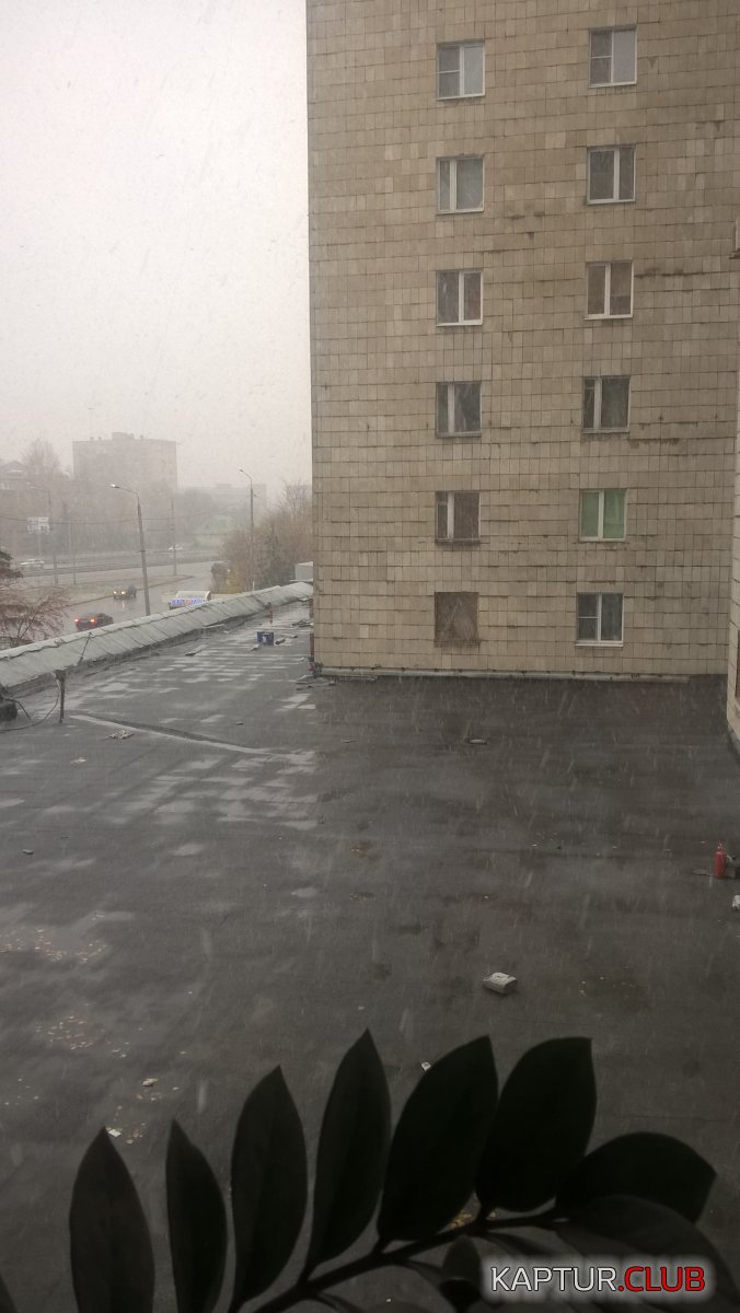 WP_20181028_10_51_17_Pro.jpg | Рено Каптур Клуб Россия | Форум KAPTUR.SU