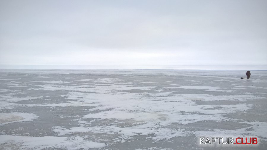 WP_20181205_09_34_00_Pro.jpg | Рено Каптур Клуб Россия | Форум KAPTUR.SU
