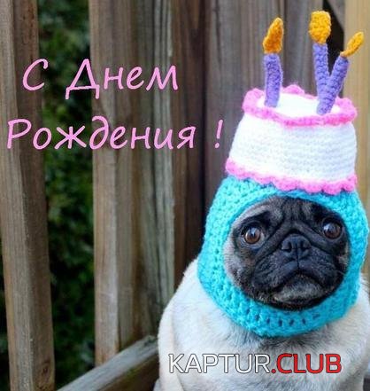 Wqnbgme8qjw.jpg | Рено Каптур Клуб Россия | Форум KAPTUR.SU