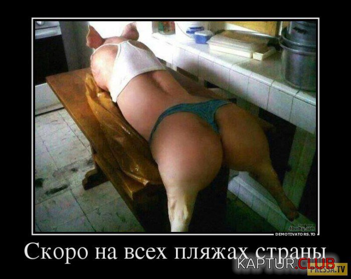 wThRzSqgdec.jpg | Рено Каптур Клуб Россия | Форум KAPTUR.SU