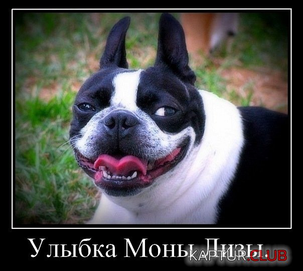 x_ebb343e3.jpg | Рено Каптур Клуб Россия | Форум KAPTUR.SU