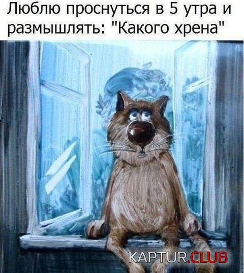 xFenWeIUsd8.jpg | Рено Каптур Клуб Россия | Форум KAPTUR.SU