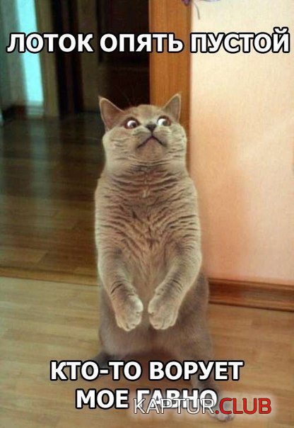 XMEfWTUDQBQ.jpg | Рено Каптур Клуб Россия | Форум KAPTUR.SU