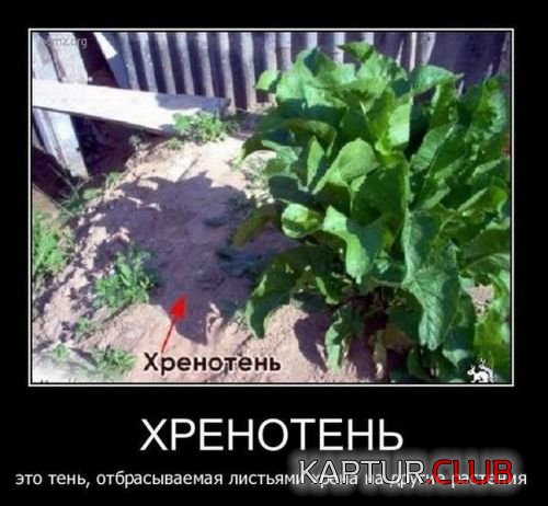 хренотень.jpg | Рено Каптур Клуб Россия | Форум KAPTUR.SU