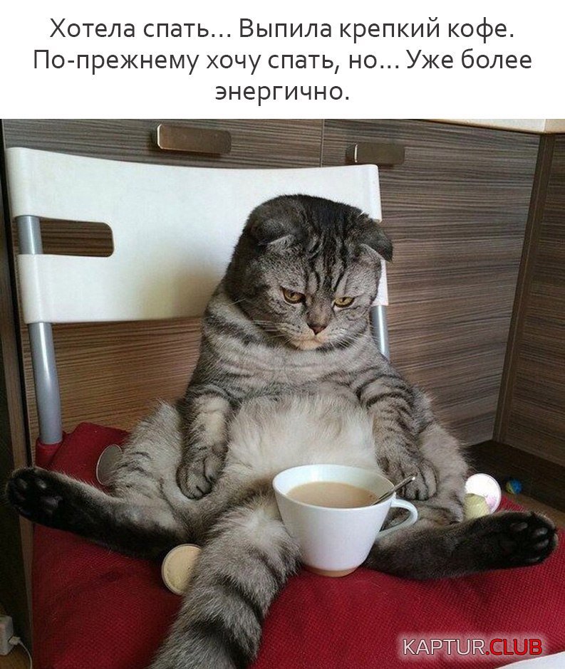 ykPYInfIS8I.jpg | Рено Каптур Клуб Россия | Форум KAPTUR.SU