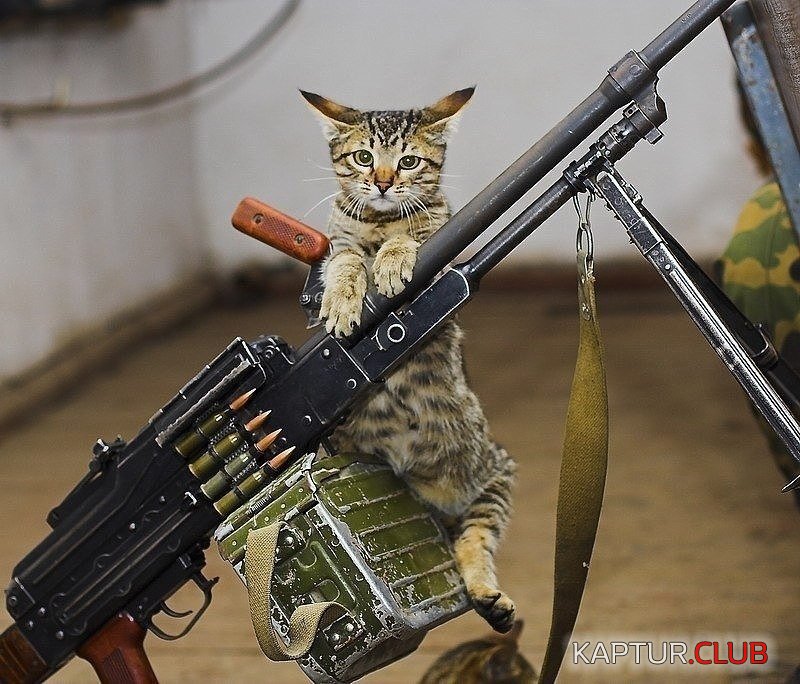 yo__Nbm2xJc.jpg | Рено Каптур Клуб Россия | Форум KAPTUR.SU