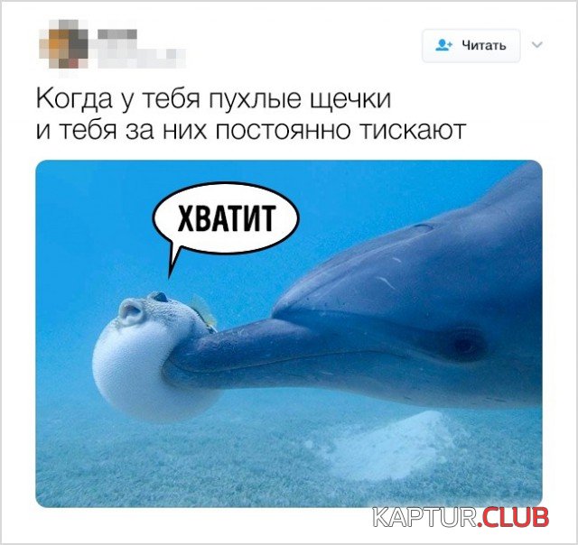 yumor_05.jpg | Рено Каптур Клуб Россия | Форум KAPTUR.SU