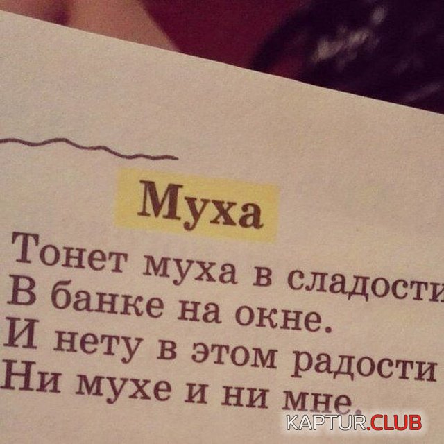 yumor_07.jpg | Рено Каптур Клуб Россия | Форум KAPTUR.SU