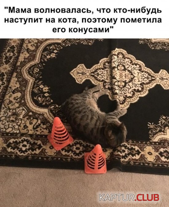 yumor_12.jpg | Рено Каптур Клуб Россия | Форум KAPTUR.SU