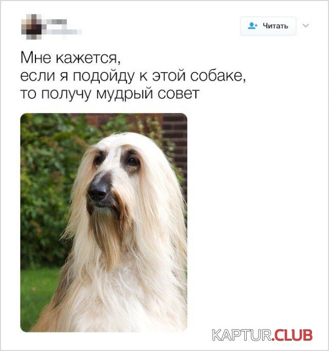 yumor_15.jpg | Рено Каптур Клуб Россия | Форум KAPTUR.SU