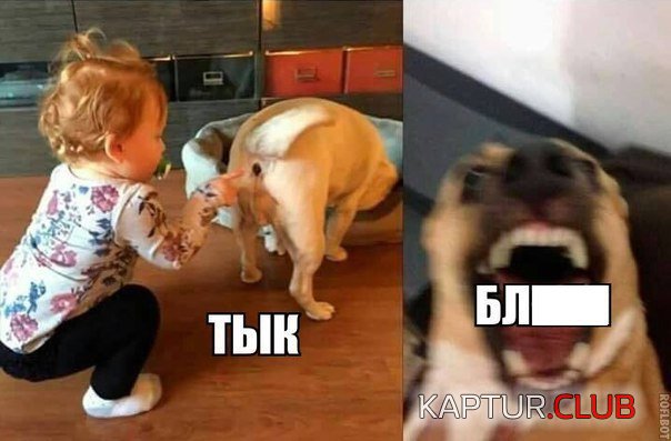 YVvr0q3uha0.jpg | Рено Каптур Клуб Россия | Форум KAPTUR.SU