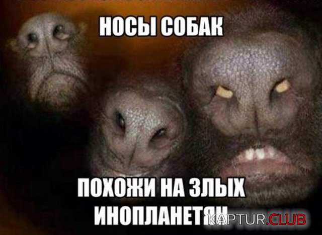 zagadka_02.jpg | Рено Каптур Клуб Россия | Форум KAPTUR.SU