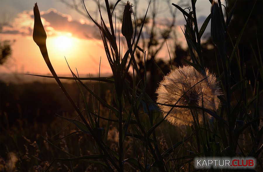 Закатик.jpg | Рено Каптур Клуб Россия | Форум KAPTUR.SU