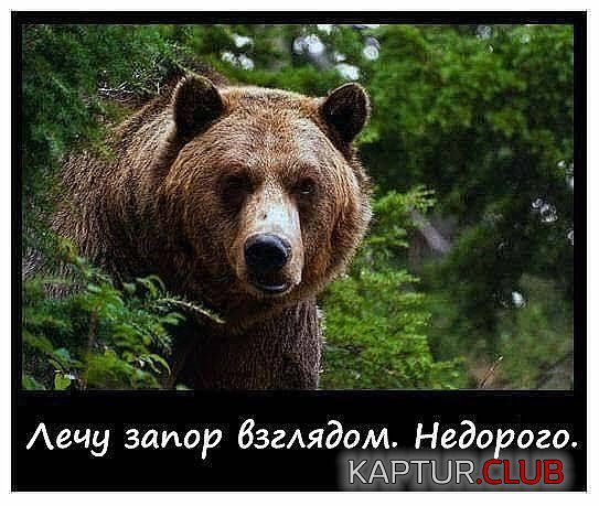 запор.jpg | Рено Каптур Клуб Россия | Форум KAPTUR.SU