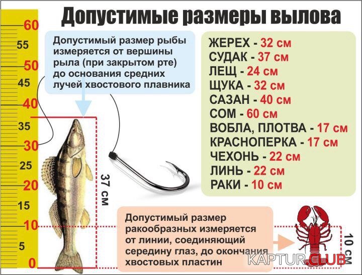 ZEdcFGIz9Jg.jpg | Рено Каптур Клуб Россия | Форум KAPTUR.SU