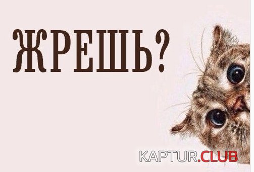 Жрёшь.jpg | Рено Каптур Клуб Россия | Форум KAPTUR.SU