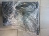 IMG_20160804_102825.jpg