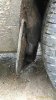 P_20160822_133104_1_p.jpg