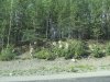 IMG_2563.JPG | Рено Каптур Клуб Россия | Форум KAPTUR.SU