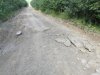 IMG_2702.JPG | Рено Каптур Клуб Россия | Форум KAPTUR.SU