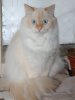 DSC_2778.jpg | Рено Каптур Клуб Россия | Форум KAPTUR.SU