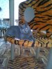IMG_20160915_100259.jpg