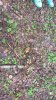 WP_20170511_09_19_45_Pro.jpg