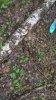 WP_20170511_09_19_40_Pro.jpg