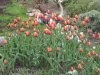 58fcba124ec8b_thumb.jpg | Рено Каптур Клуб Россия | Форум KAPTUR.SU