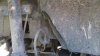 IMG_20170514_125617.jpg