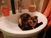 IMG_20201209_174829.jpg
