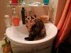 IMG_20201209_174850.jpg