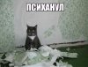 ab410bae489af67a51d51b5791f62c4f.jpg | Рено Каптур Клуб Россия | Форум KAPTUR.SU