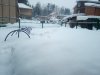 IMG_20210203_171329.jpg