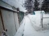 IMG_20210203_171400.jpg