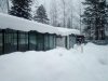 IMG_20210203_171446.jpg
