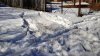 IMG_20210404_110126.jpg
