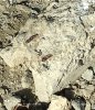 IMG_20210418_110649.jpg | Рено Каптур Клуб Россия | Форум KAPTUR.SU