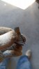 IMG-20210612-WA0013.jpeg
