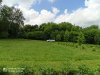 IMG_20210612_105831.jpg