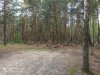 IMG_20210612_144952.jpg