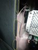 IMG_20210629_064658.jpg